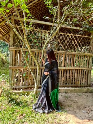 Black classic Handloom Sharee_img_4