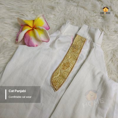 2.3 kg cat panjabi_img_0