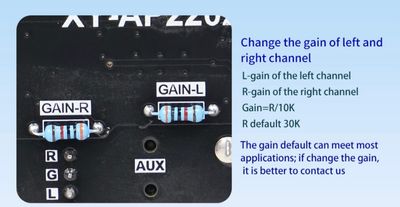 Sini Audio XY-AP2202 220W + 220W Ampilifier TPA3251 D2_img_7