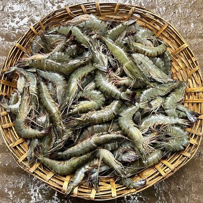বাগদা চিংড়ি (৪০-৪৫ পিছ কেজিতে)_img_0
