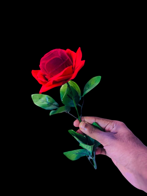 Flocked Rose Ring_img_1