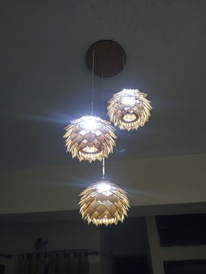Celling lamp 3 light Combo_img_2