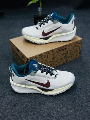 Nike x Pegasus Trail 6 prototype (1:1)_img_4