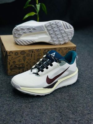 Nike x Pegasus Trail 6 prototype (1:1)_img_5