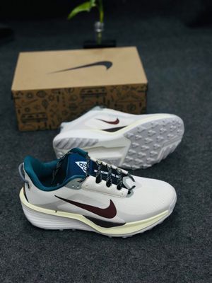 Nike x Pegasus Trail 6 prototype (1:1)_img_6