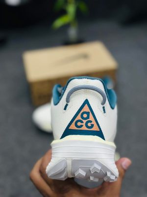 Nike x Pegasus Trail 6 prototype (1:1)_img_7