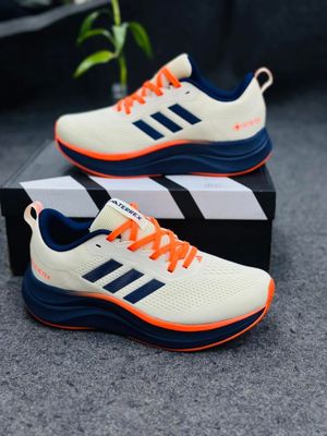 Adidas Terrex Gore-Tex Running (1:1)_img_0