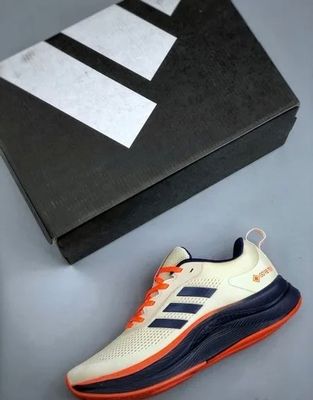 Adidas Terrex Gore-Tex Running (1:1)_img_1