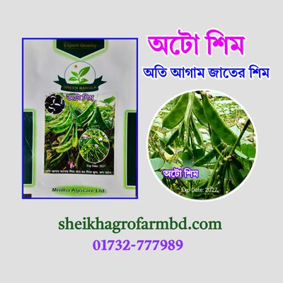 অটো শিম- (বারোমাসি শিম)_img_1