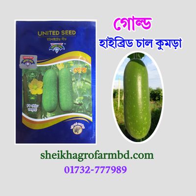 গোল্ড (হাইব্রিড চাল কুমড়া)_img_0