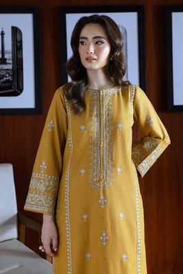 Salwar kameez_img_1