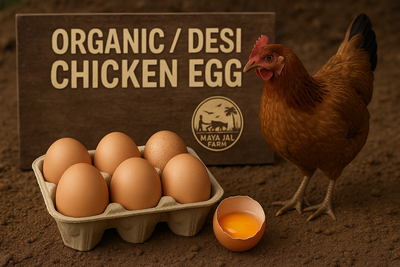 Organic Country Hen Egg_img_0