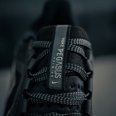 Nike Pegasus Premium (1:1)_img_5