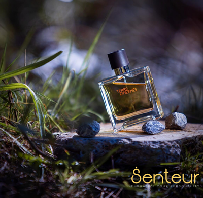 Terre D'Hermes Parfum_img_0