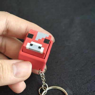 Minecraft Themed Switch Tester Keychain with Switch_img_5