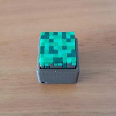 Minecraft Themed Switch Tester Keychain with Switch_img_6