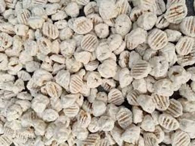 সুস্বাদু রান্নার জন্য কুমড়া বড়ি_img_1