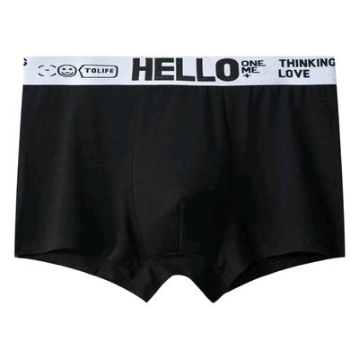 Hello Boxer_img_1