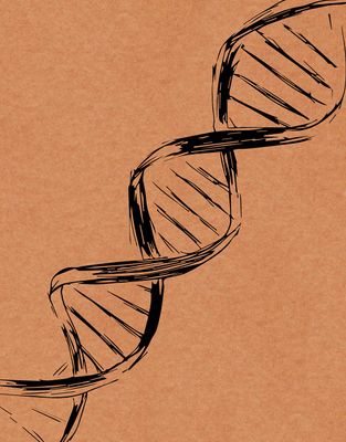 Double Helix - 200 Page Notebook_img_0