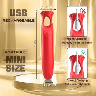 Rose lipstick Vibrator Silica gel female masturbation stick vibrator Interesting tease adult sex toys shop_img_1