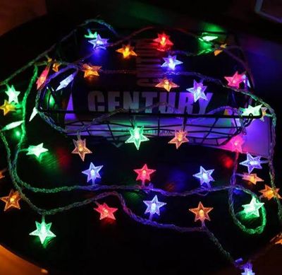 Star Fairy Light_img_1