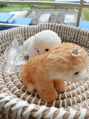 Silicone Soft toy_img_2