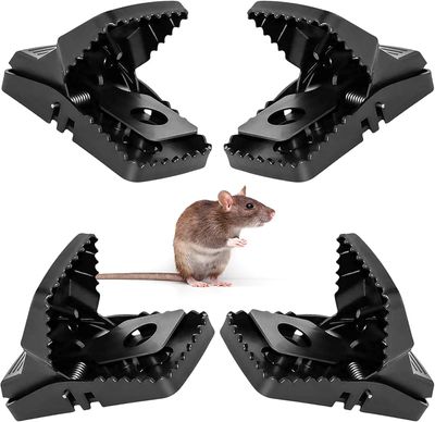 Rat Traps_img_1