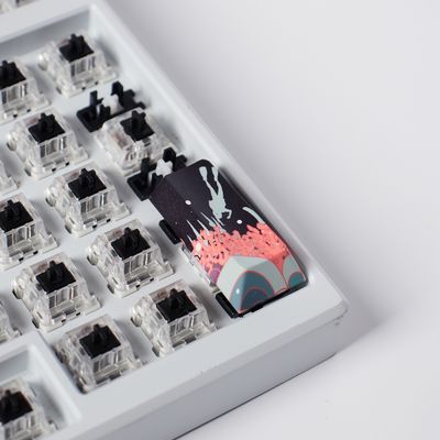 Coral Sea V3 Enter Esc Spacebar Combo_img_2
