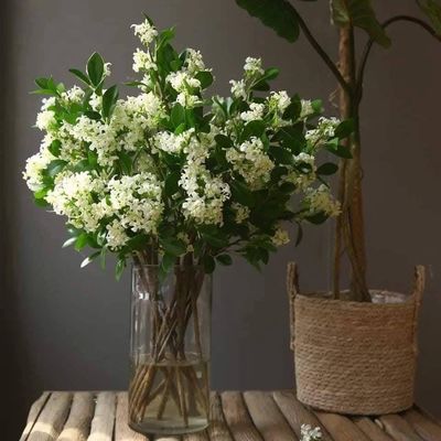 Kamini Flowers_img_8