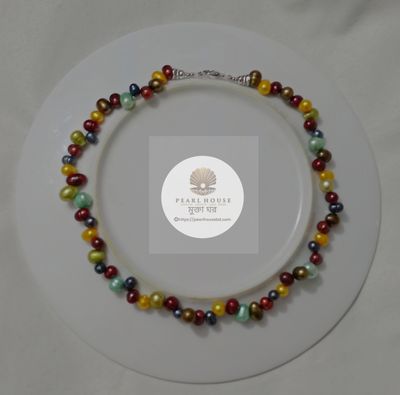 Multicolor Necklace_img_0
