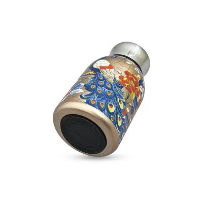 300ml High Quality SS Thermos Water Bottle – WB-2609 Peacock_img_3