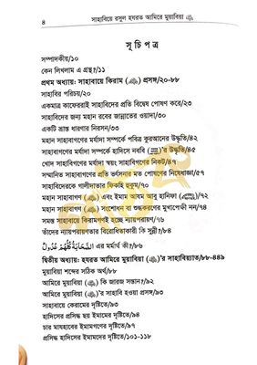 আমিরের মুয়াবিয়া (রাদি.)_img_1