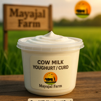 Cow Milk Yohgurt / Curd_img_0
