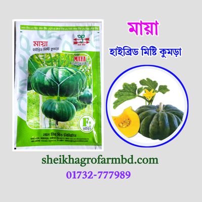 মায়া - (হাইব্রিড মিষ্টি কুমড়া)_img_0