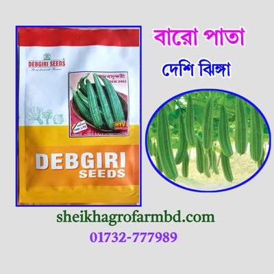 বারো পাতা - (দেশি ঝিঙ্গা)_img_0