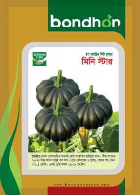 হাইব্রিড মিষ্টি কুমড়ার বীজ মিনিস্টার_img_0