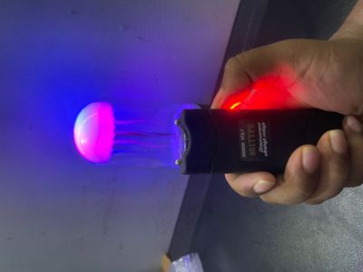High Voltage Electric Shock Device for Self Defence (801 Type)_img_3