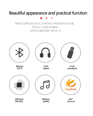 Sini Audio XY-T100H 100W + 100W Amplifier_img_3