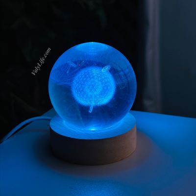 Dandelion 3D Crystal Ball Night Light_img_2