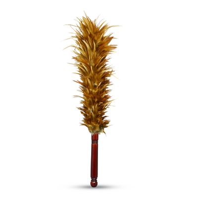 Proclean Chicken Feather Duster_CD-2692_img_0
