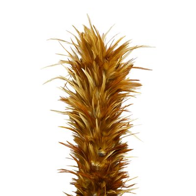 Proclean Chicken Feather Duster_CD-2692_img_1