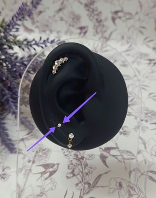 Micro stud earrings_img_0
