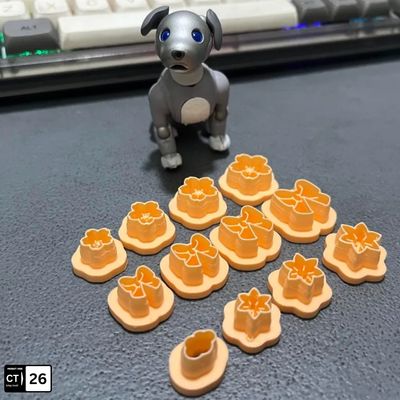 Pretty Flowers Polymer Clay Cutter Set – 12 Pcs Craft & Jewelry Tool | InDecorBD_img_0