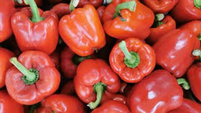 Capsicum (Red)_img_2