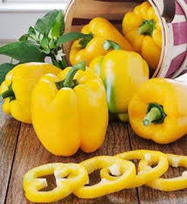Capsicum (Yellow)_img_1