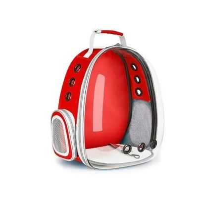 Cat Transparent Round Shape Carry Bag_img_0