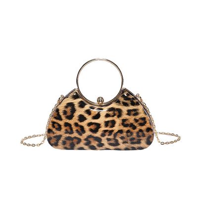 Leopard Print Acrylic Box Clutch Bag_img_3