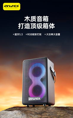 AWEI KA15 70W Portable Bluetooth Speaker_img_1