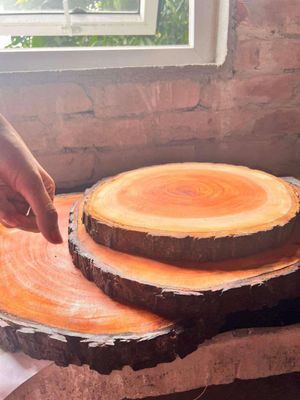 Orginal Mehgani Bark Platter_img_3