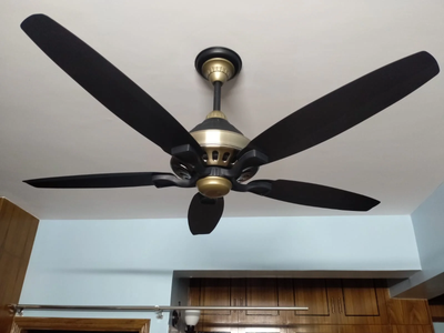 SK Grace 56" Inverter with Remote Ceiling fan Black Gold SK-205_img_2